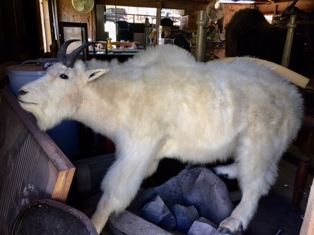 FullSizeRender-5.jpg FullSizeRender-5.jpg