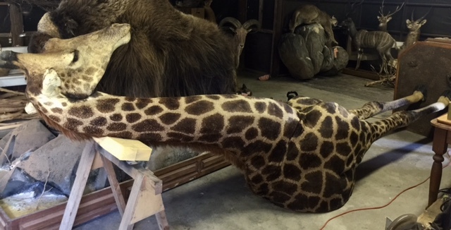 FullSizeRender-6.jpg FullSizeRender-6.jpg