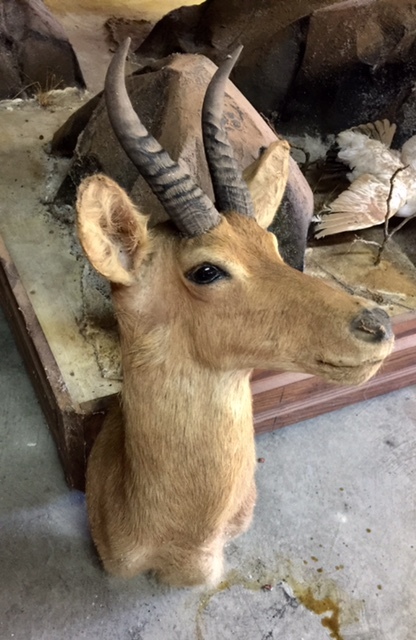 FullSizeRender-7.jpg FullSizeRender-7.jpg