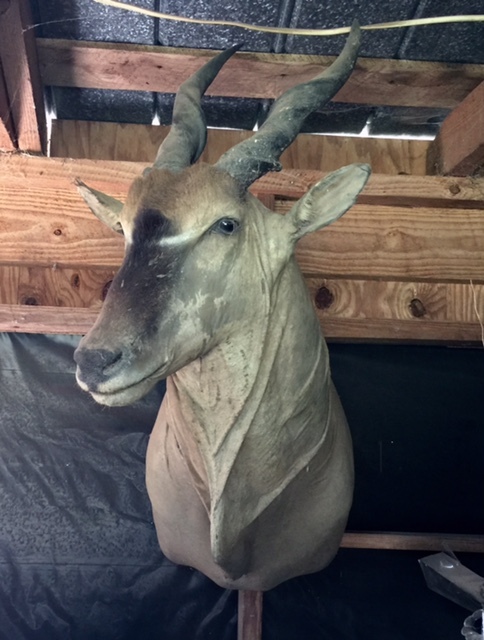 FullSizeRender-8.jpg FullSizeRender-8.jpg