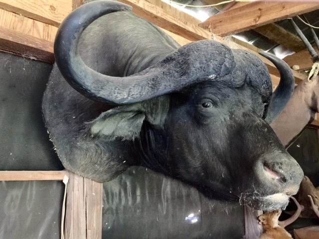 FullSizeRender-9.jpg FullSizeRender-9.jpg