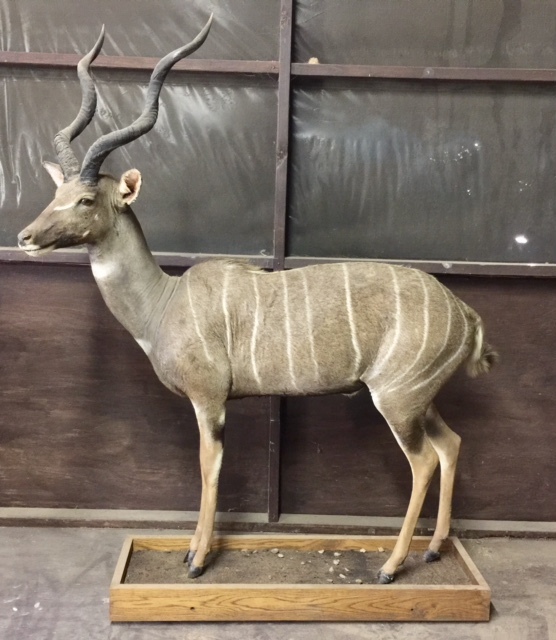 FullSizeRender.jpg FullSizeRender.jpg