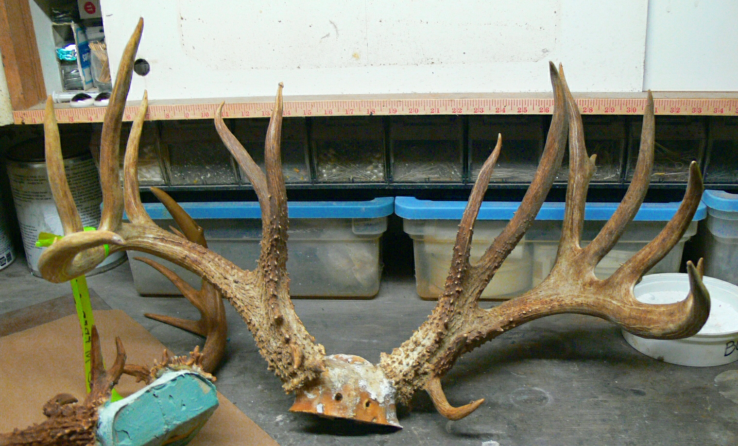 P1050351.jpg P1050351.jpg