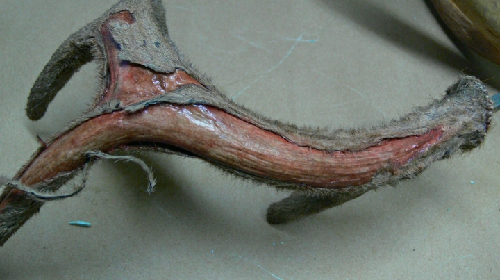 P1050353.jpg P1050353.jpg