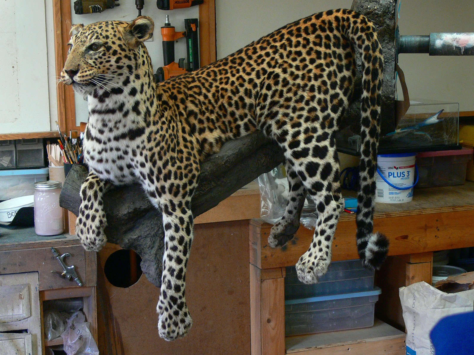 P1050370.jpg P1050370.jpg