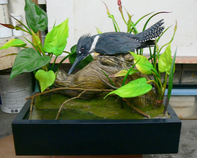 P1050487.jpg P1050487.jpg