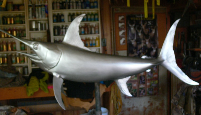 P1050504.jpg P1050504.jpg