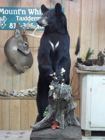 1507691_730050340423037_4345597237396094747_n.jpg 1507691_730050340423037_4345597237396094747_n.jpg