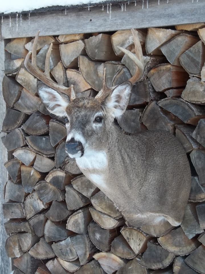 10429473_395360860643207_1081454608432293335_n.jpg 10429473_395360860643207_1081454608432293335_n.jpg