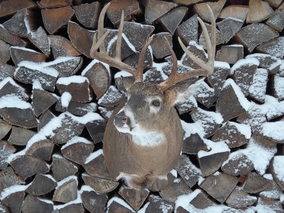 10941835_394570827388877_2788982883994123044_n.jpg 10941835_394570827388877_2788982883994123044_n.jpg