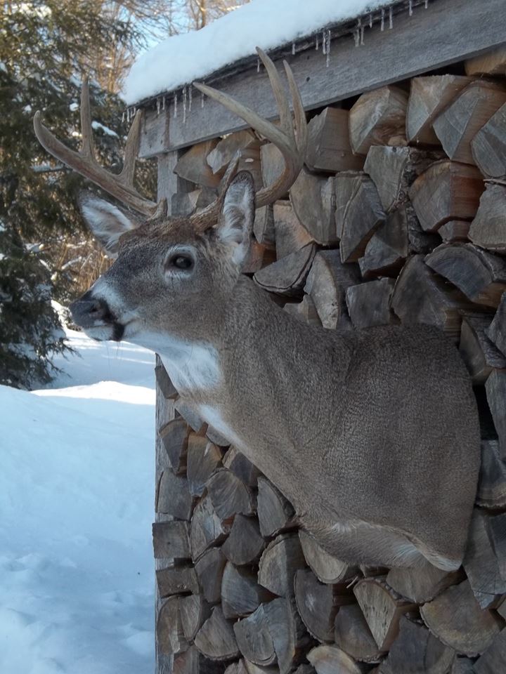 11009998_395360947309865_2862276298375472814_n.jpg 11009998_395360947309865_2862276298375472814_n.jpg