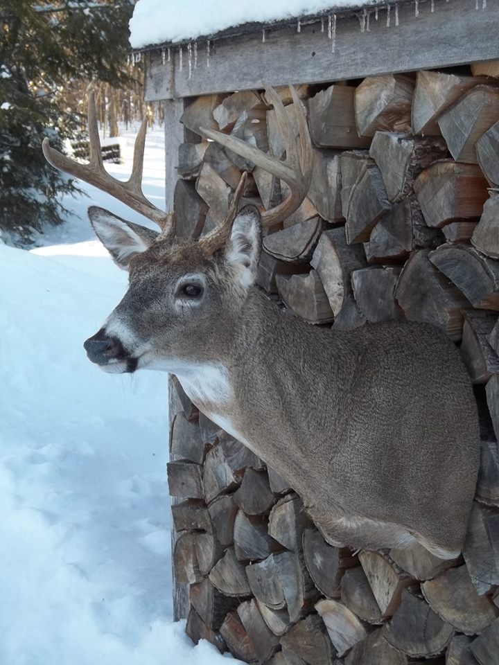 11038684_395361350643158_4906569971519743935_n.jpg 11038684_395361350643158_4906569971519743935_n.jpg