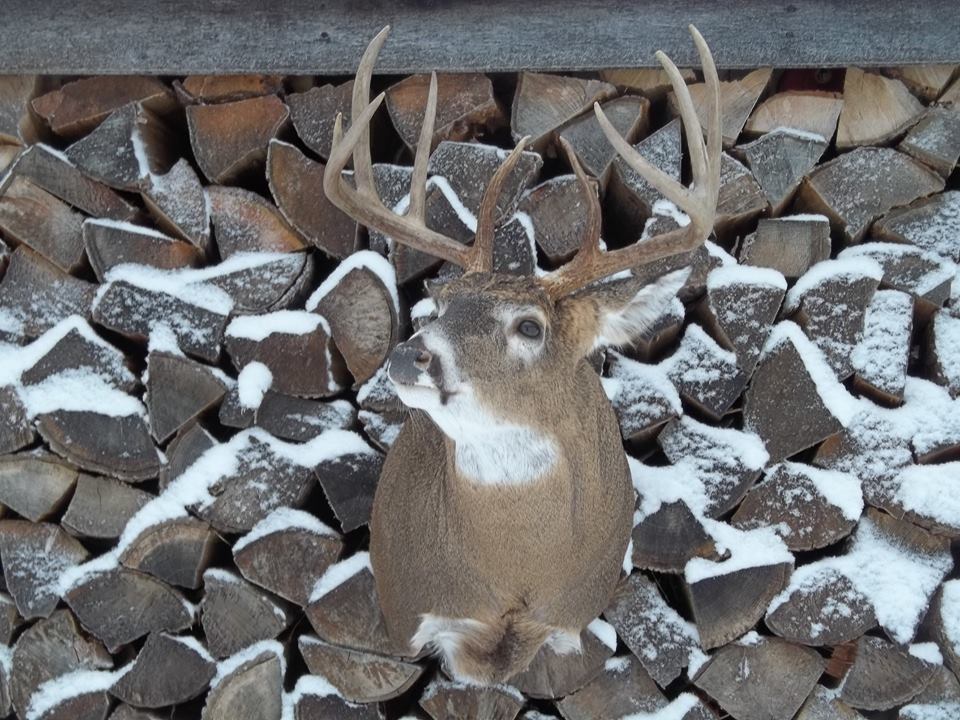 11042950_394571257388834_5729734360609380369_n.jpg 11042950_394571257388834_5729734360609380369_n.jpg