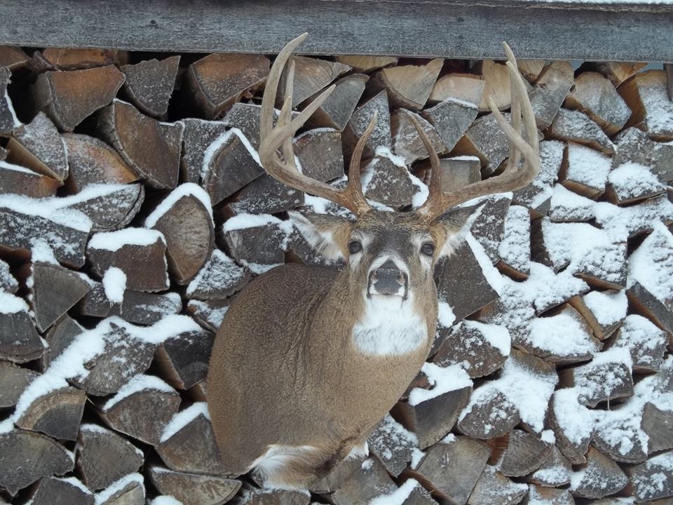 11043090_394571384055488_3324405680650254784_n.jpg 11043090_394571384055488_3324405680650254784_n.jpg