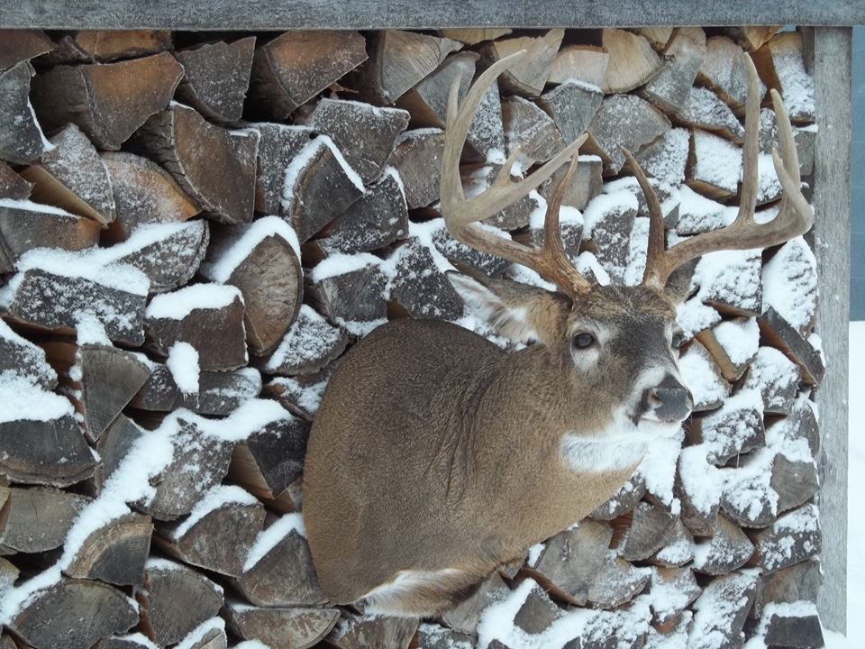 11046710_394571067388853_7596166918887389087_n.jpg 11046710_394571067388853_7596166918887389087_n.jpg