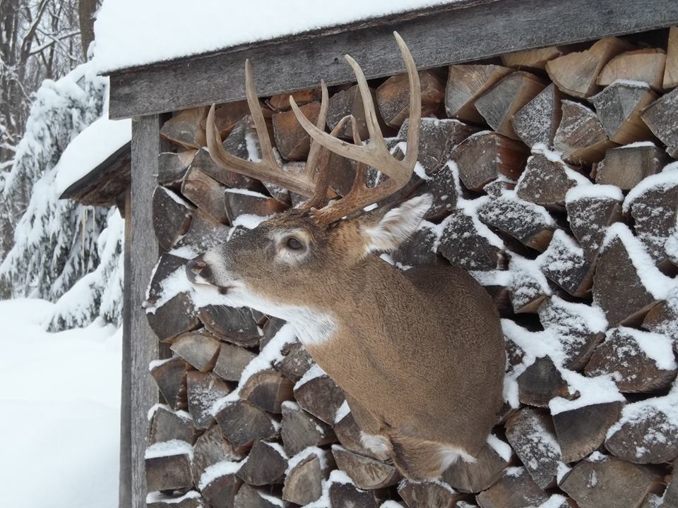 8956_394571537388806_7377174000582131330_n.jpg 8956_394571537388806_7377174000582131330_n.jpg