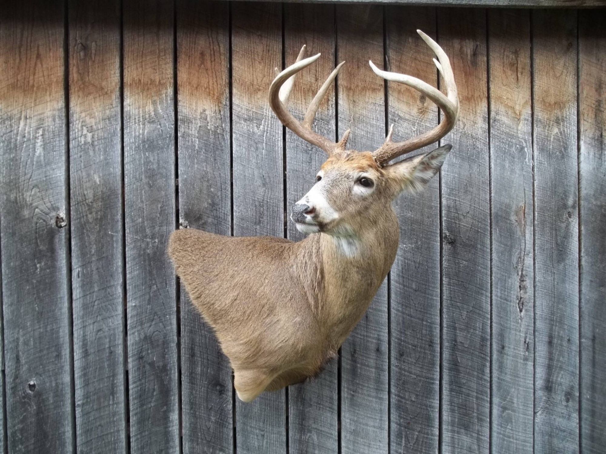 11080616_419754698203823_2616645066740087950_o.jpg 11080616_419754698203823_2616645066740087950_o.jpg