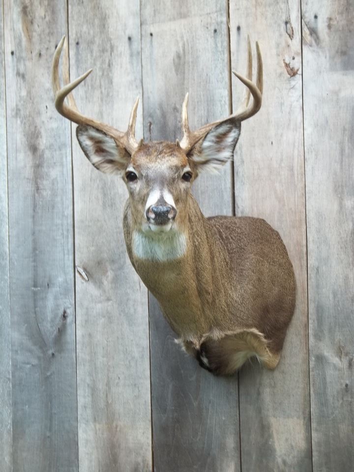 11209427_421431978036095_3695392750134594850_n.jpg 11209427_421431978036095_3695392750134594850_n.jpg