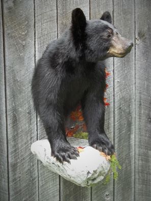 11707670_442722022573757_7995354485022936303_n.jpg 11707670_442722022573757_7995354485022936303_n.jpg