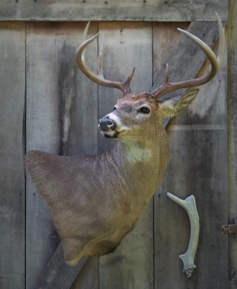 11834901_464012903778002_9144874551512588766_o.jpg 11834901_464012903778002_9144874551512588766_o.jpg