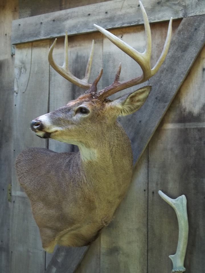 11885255_464013227111303_3084241770189503479_n.jpg 11885255_464013227111303_3084241770189503479_n.jpg