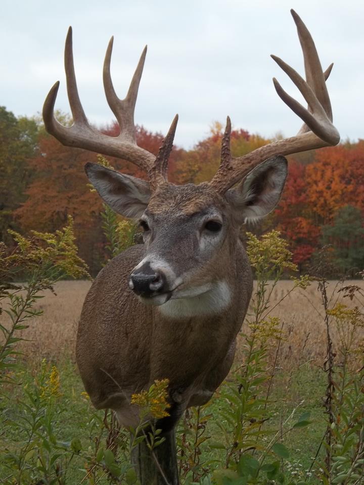 12122449_481668855345740_8284394191740441451_n.jpg 12122449_481668855345740_8284394191740441451_n.jpg