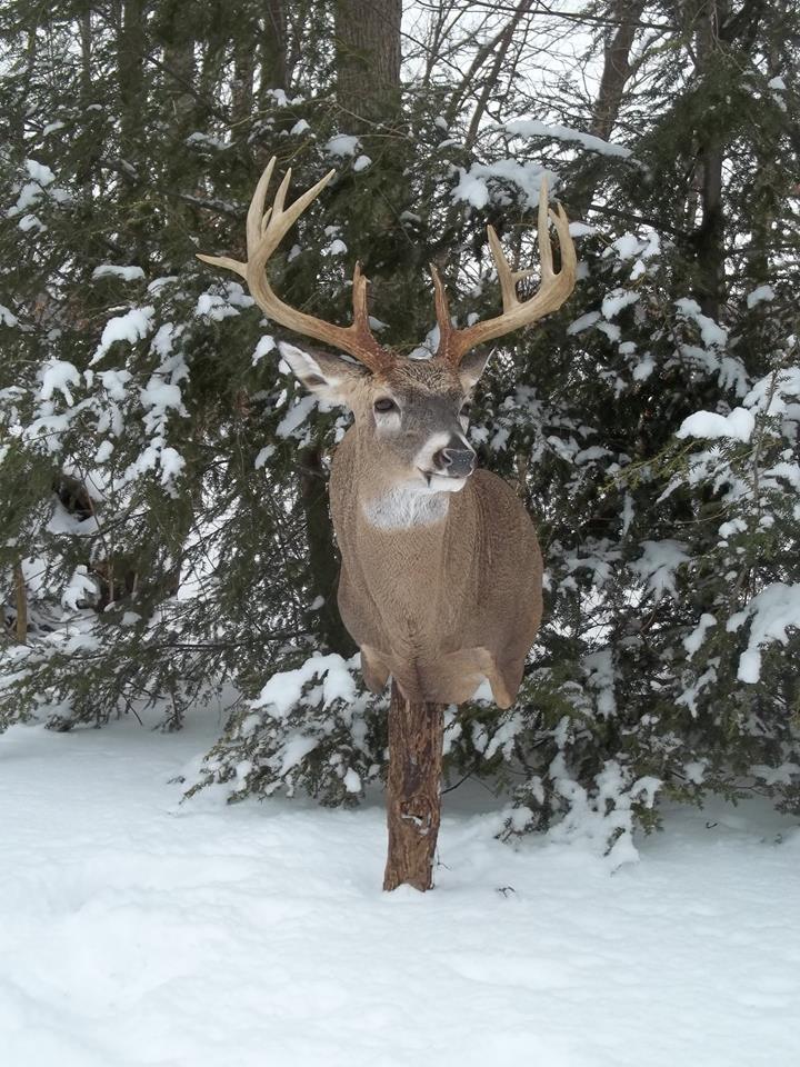 12631297_514441372068488_8147776784438592880_n-1.jpg 12631297_514441372068488_8147776784438592880_n-1.jpg