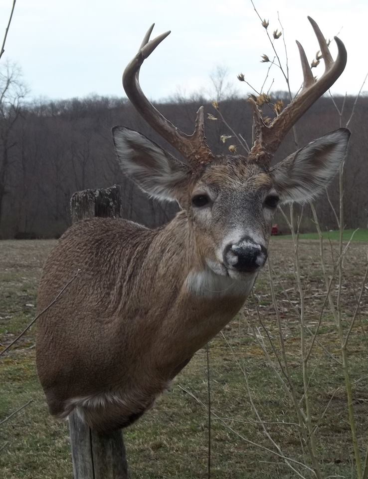 12931090_545673002278658_7170303114734206373_n.jpg 12931090_545673002278658_7170303114734206373_n.jpg