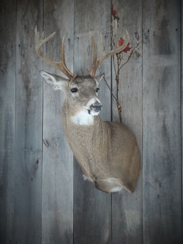 12991009_548178788694746_2130039171748873871_n-1.jpg 12991009_548178788694746_2130039171748873871_n-1.jpg