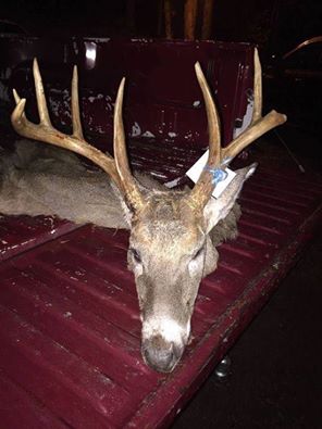 13006675_548177622028196_1503652427830145110_n.jpg 13006675_548177622028196_1503652427830145110_n.jpg