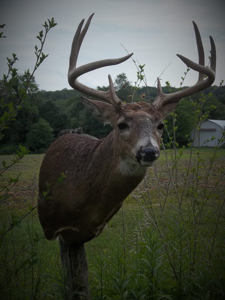 13465954_574144142764877_5557977034131725571_n.jpg 13465954_574144142764877_5557977034131725571_n.jpg