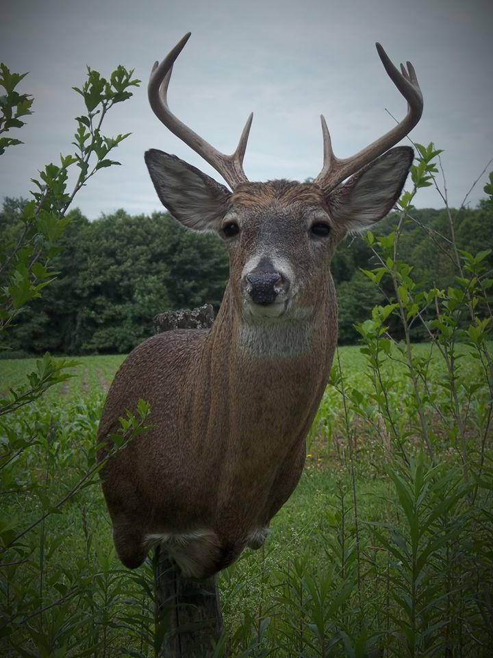 13567522_581020578743900_8495212787275004960_n.jpg 13567522_581020578743900_8495212787275004960_n.jpg