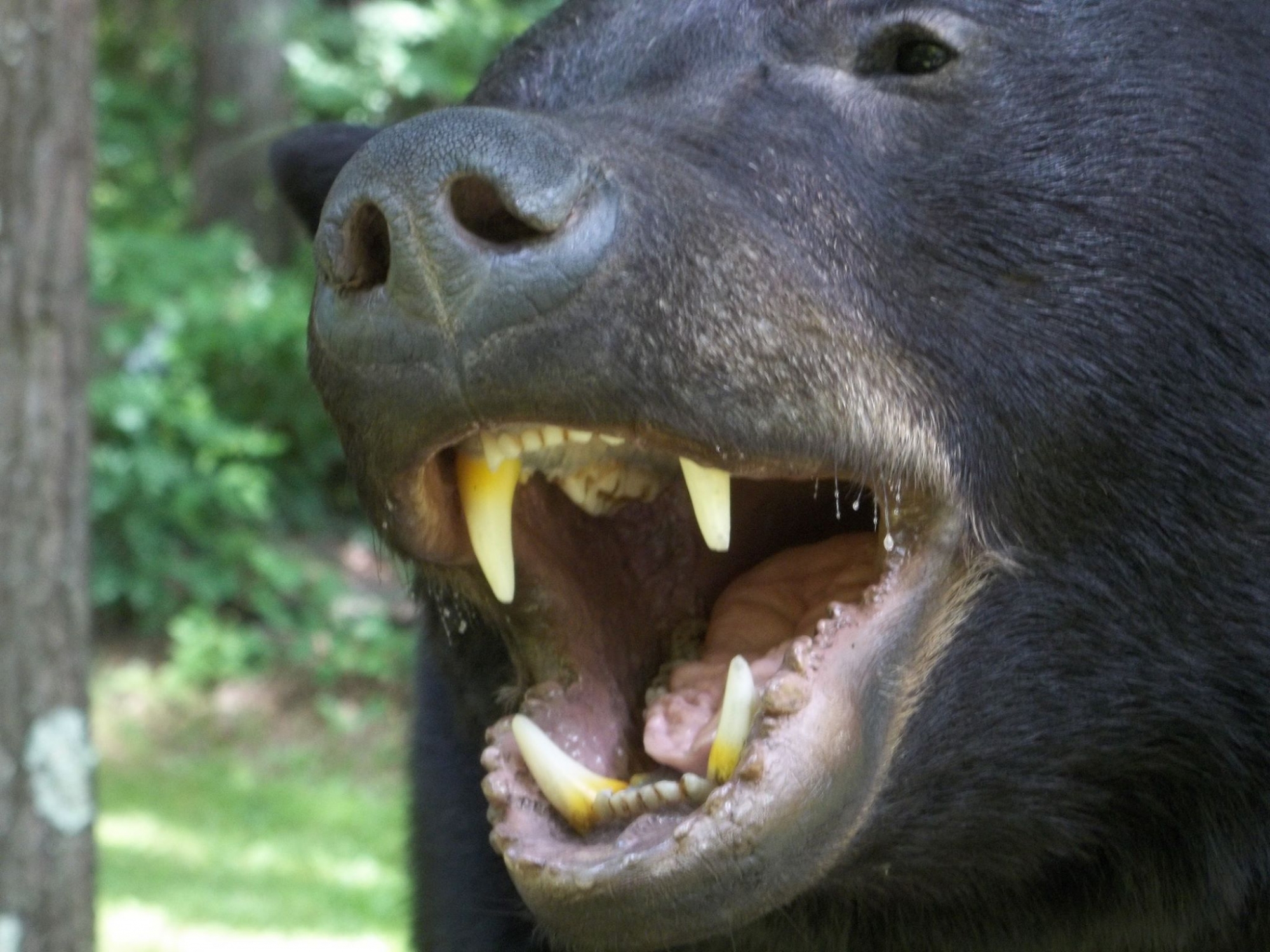 13692845_588698364642788_2548997502555984460_o.jpg 13692845_588698364642788_2548997502555984460_o.jpg