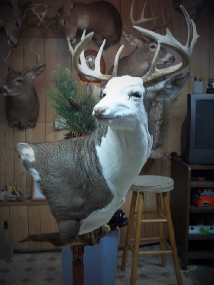 14141611_605798706266087_1997751390135583737_n-1.jpg 14141611_605798706266087_1997751390135583737_n-1.jpg