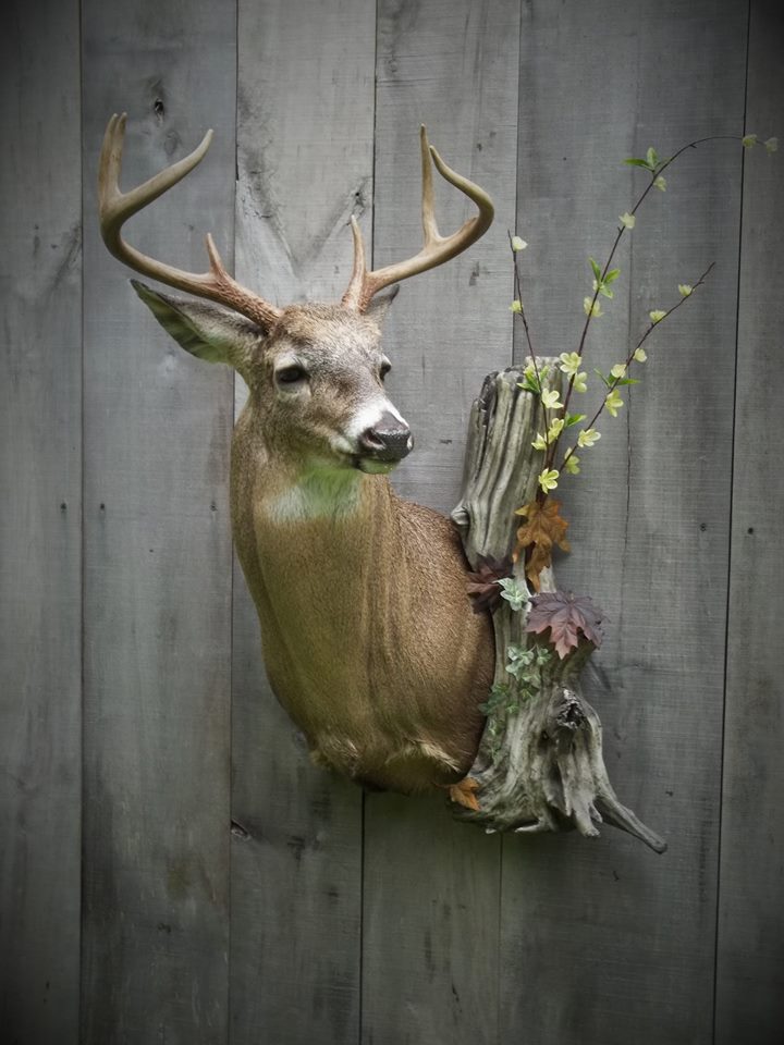 14183775_606212142891410_194211353154469855_n.jpg 14183775_606212142891410_194211353154469855_n.jpg