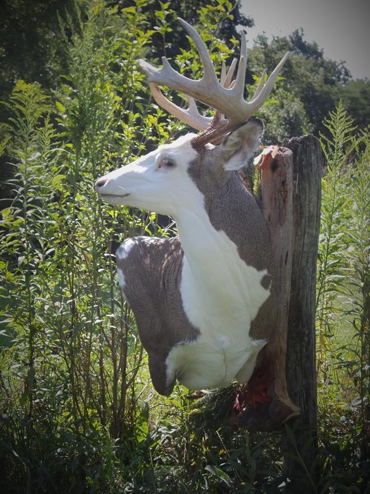 14224851_609144642598160_4591375414828311952_n.jpg 14224851_609144642598160_4591375414828311952_n.jpg