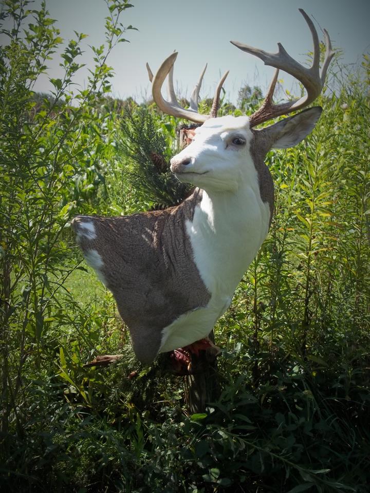 14232601_609144192598205_5881522515889635010_n.jpg 14232601_609144192598205_5881522515889635010_n.jpg