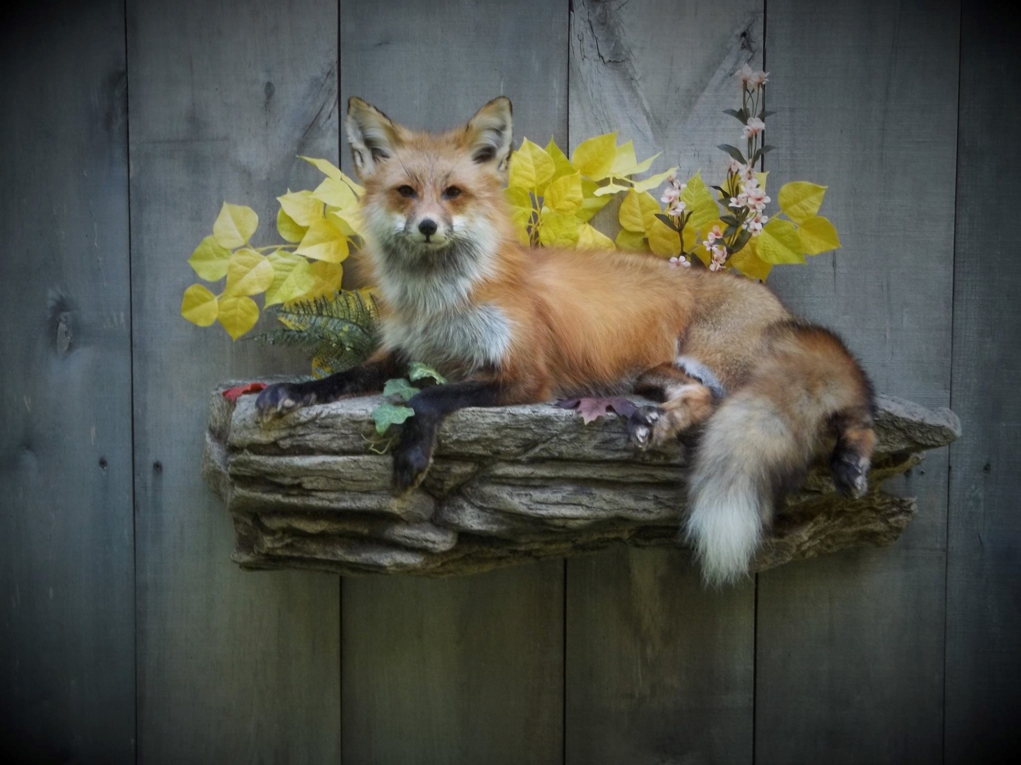 14434811_619165818262709_5938571971801367894_o.jpg 14434811_619165818262709_5938571971801367894_o.jpg