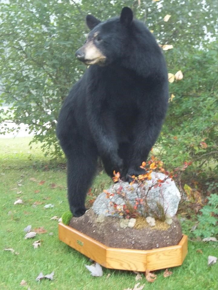 14440977_618647001647924_3528739248763818255_n.jpg 14440977_618647001647924_3528739248763818255_n.jpg