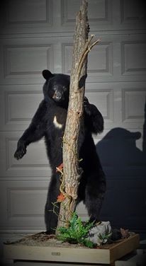 14705752_631238353722122_1490117731598497018_nmkjh.jpg 14705752_631238353722122_1490117731598497018_nmkjh.jpg