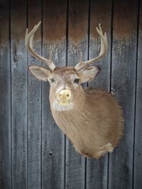 15873041_674036019442355_4820257536886978986_n.jpg 15873041_674036019442355_4820257536886978986_n.jpg