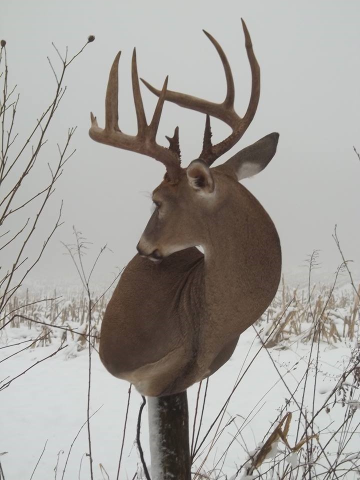 16143020_684822131697077_2219675578760860371_n.jpg 16143020_684822131697077_2219675578760860371_n.jpg