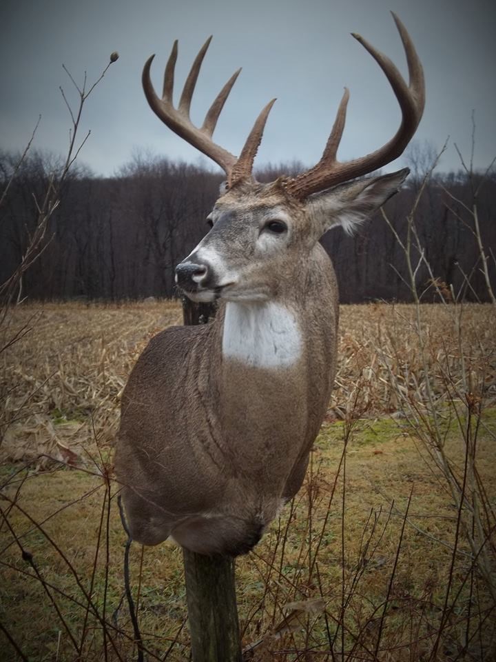 16143031_680374102141880_627726923886356718_n.jpg 16143031_680374102141880_627726923886356718_n.jpg