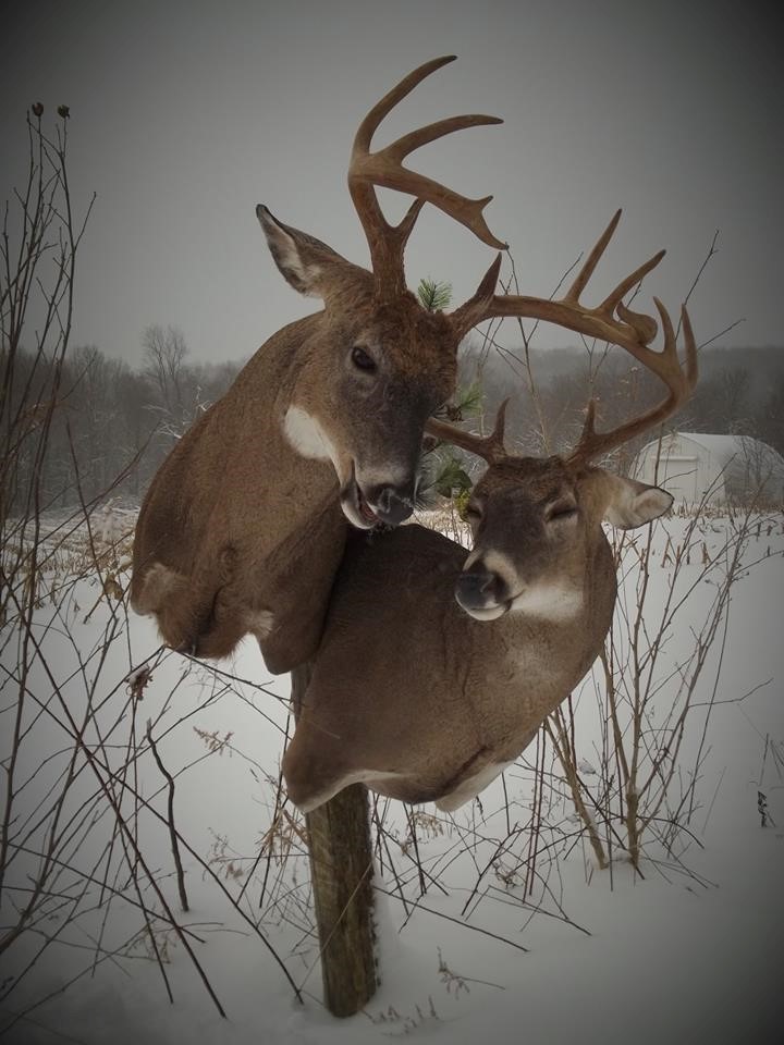 16194887_1245385448889521_5420841813806119108_n.jpg 16194887_1245385448889521_5420841813806119108_n.jpg