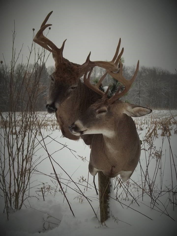 16265315_1245384938889572_5118979384103593109_n.jpg 16265315_1245384938889572_5118979384103593109_n.jpg