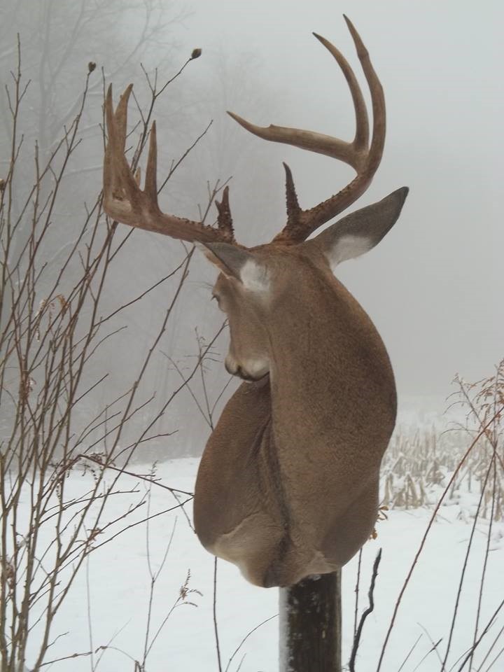 16266012_684822731697017_7615562491568809479_n.jpg 16266012_684822731697017_7615562491568809479_n.jpg