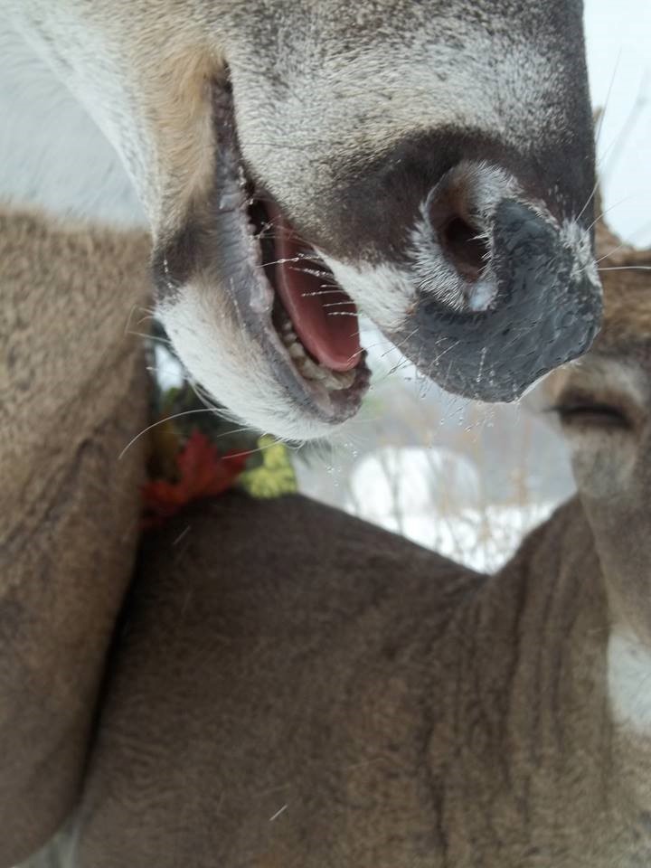 16298588_1245387525555980_128417387116645098_n.jpg 16298588_1245387525555980_128417387116645098_n.jpg