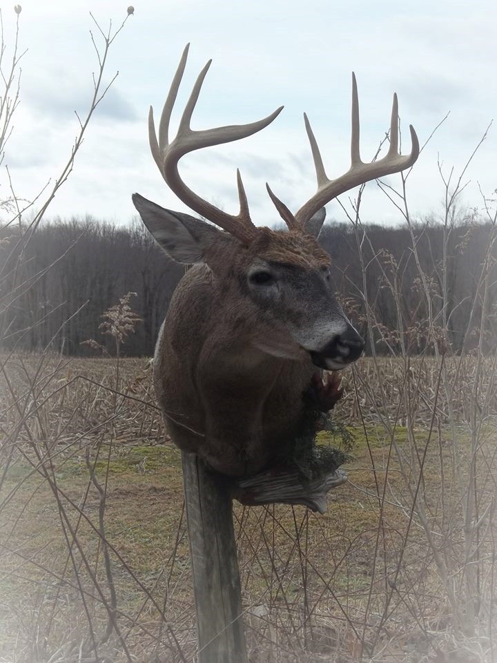 16508781_692537794258844_2399465680499251114_n.jpg 16508781_692537794258844_2399465680499251114_n.jpg