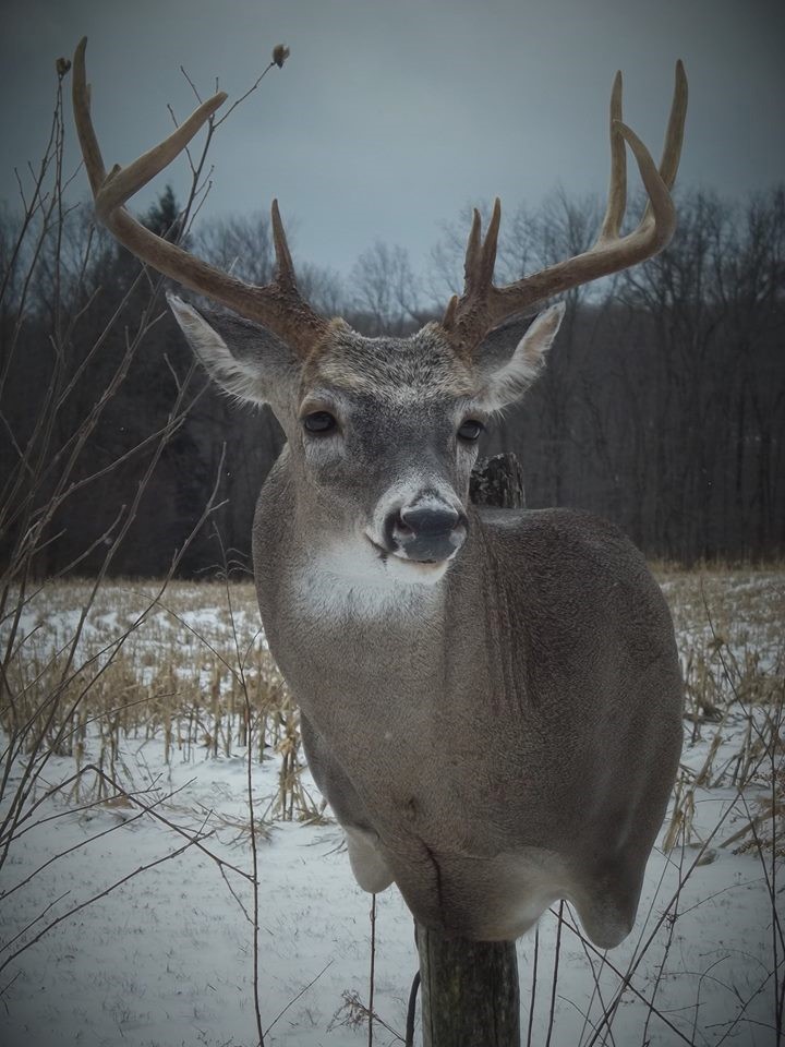 16806900_697544683758155_4123206785632409442_n.jpg 16806900_697544683758155_4123206785632409442_n.jpg