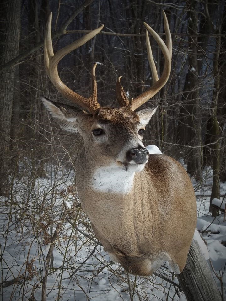 16939231_705422266303730_6887293667231118779_n.jpg 16939231_705422266303730_6887293667231118779_n.jpg